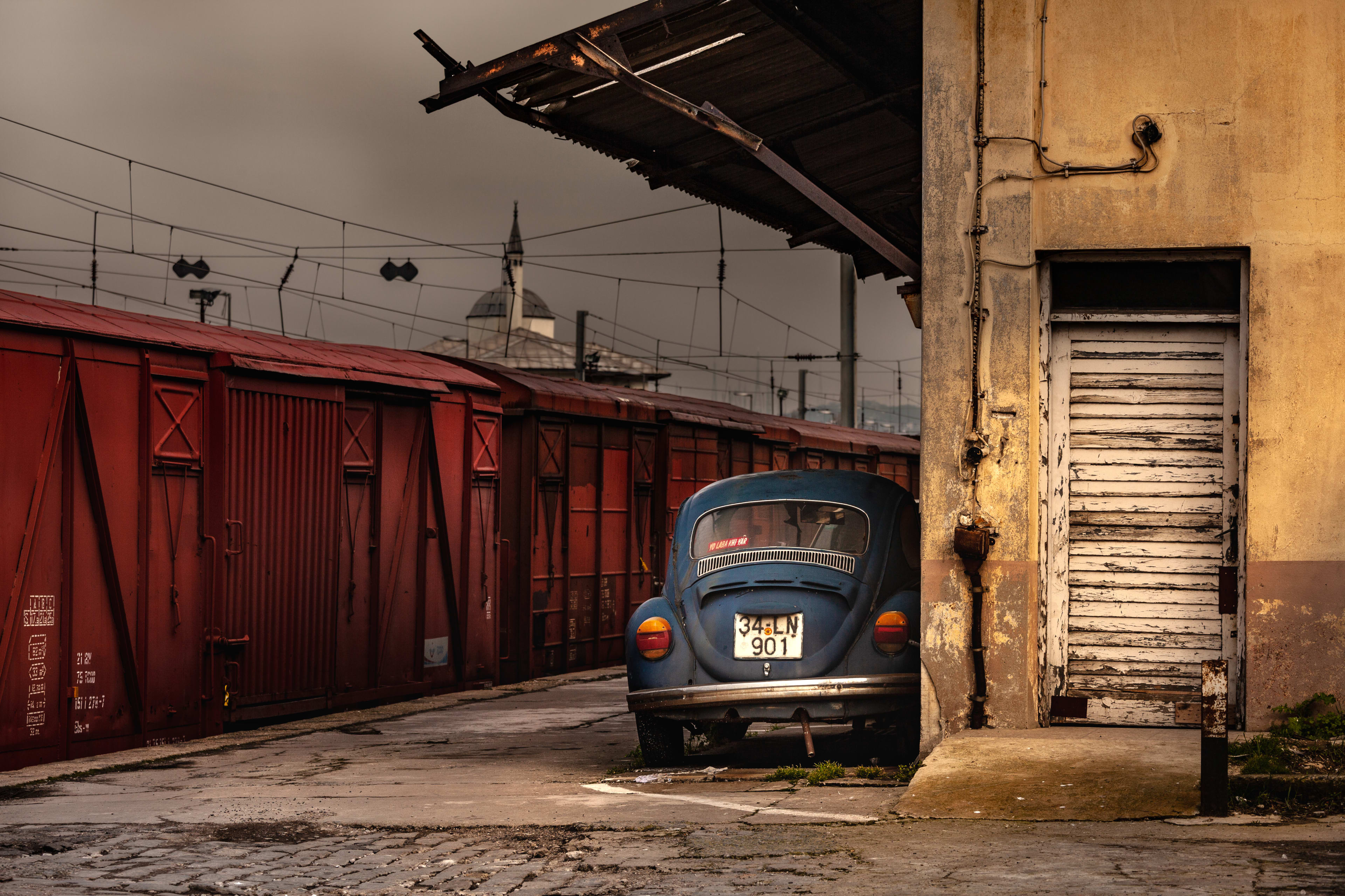 Beetle