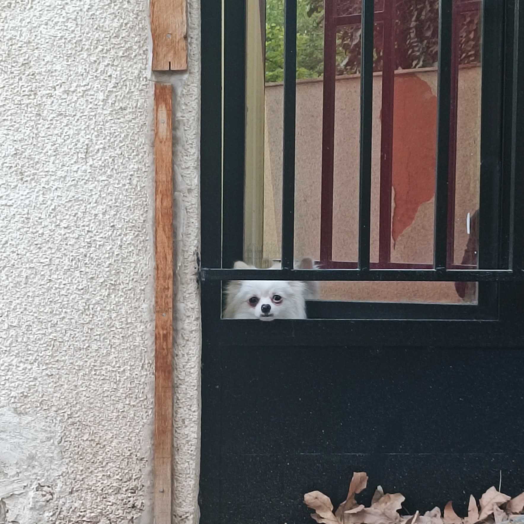 Can you stay?