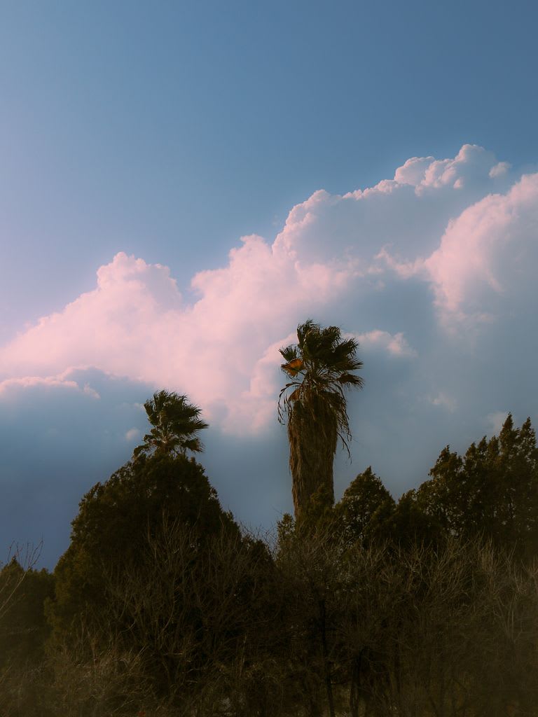 "Mashayekh" winds