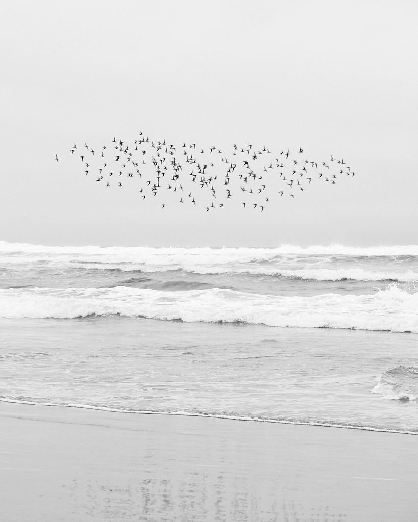Like a Dream
