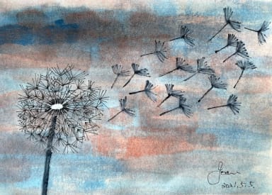 Wind