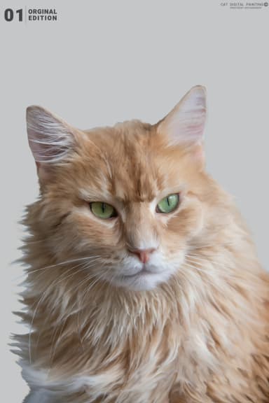 Hairy Cat 