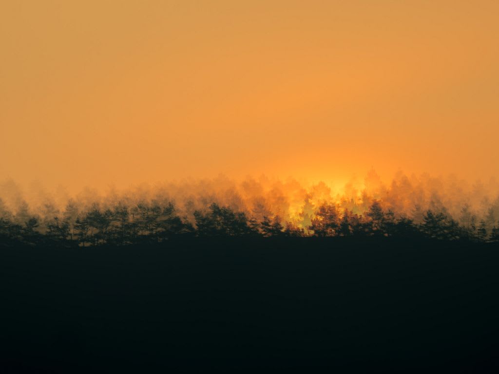 On the horizon