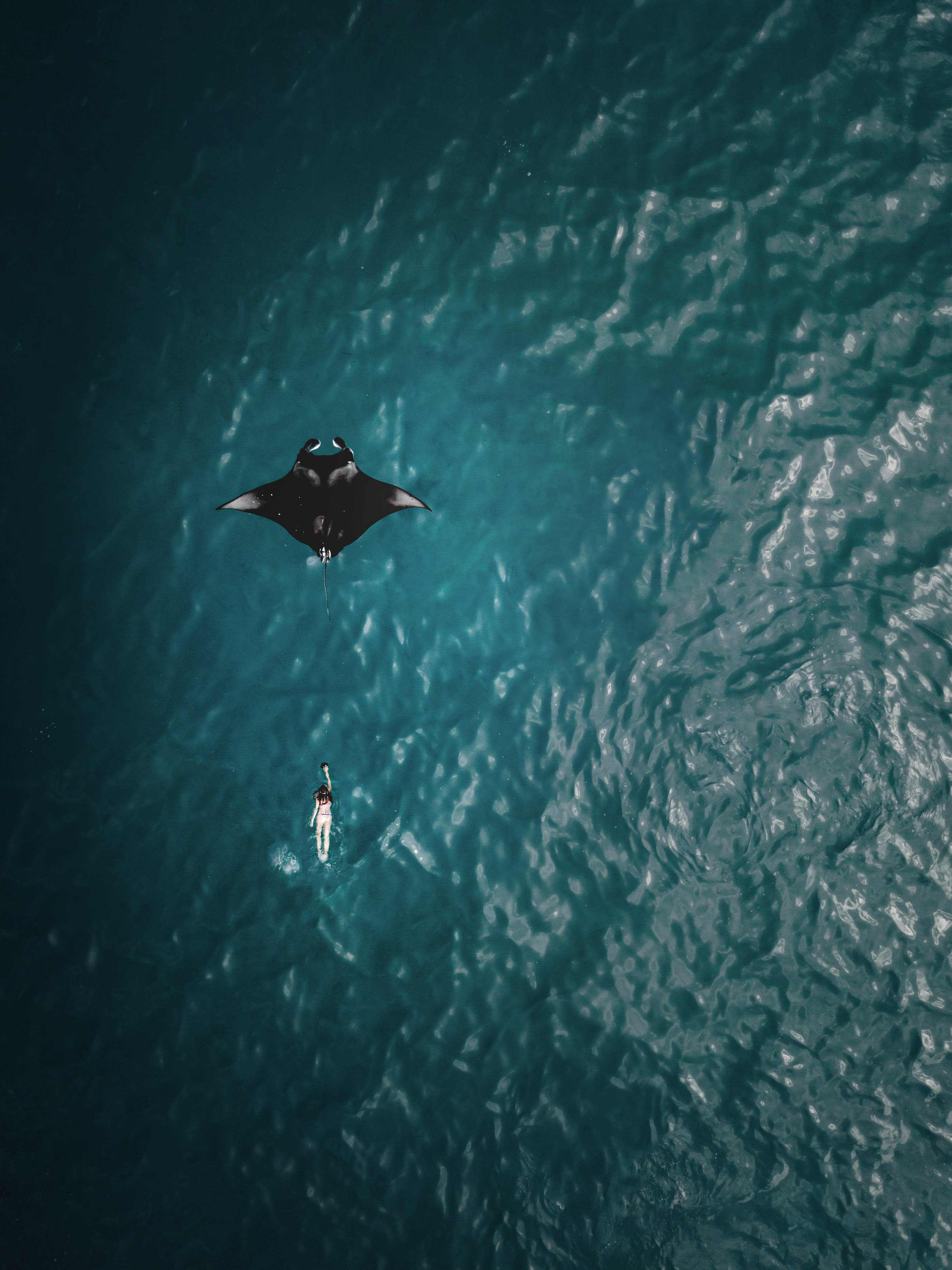 Swimming Buddy