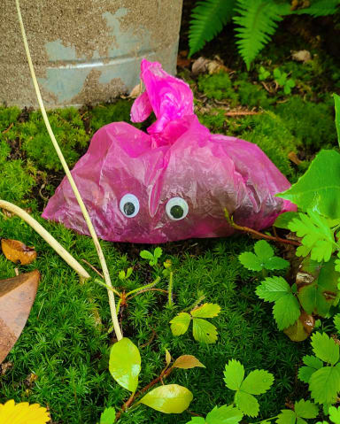 Googly Eyes 004: ScheisseBaggins