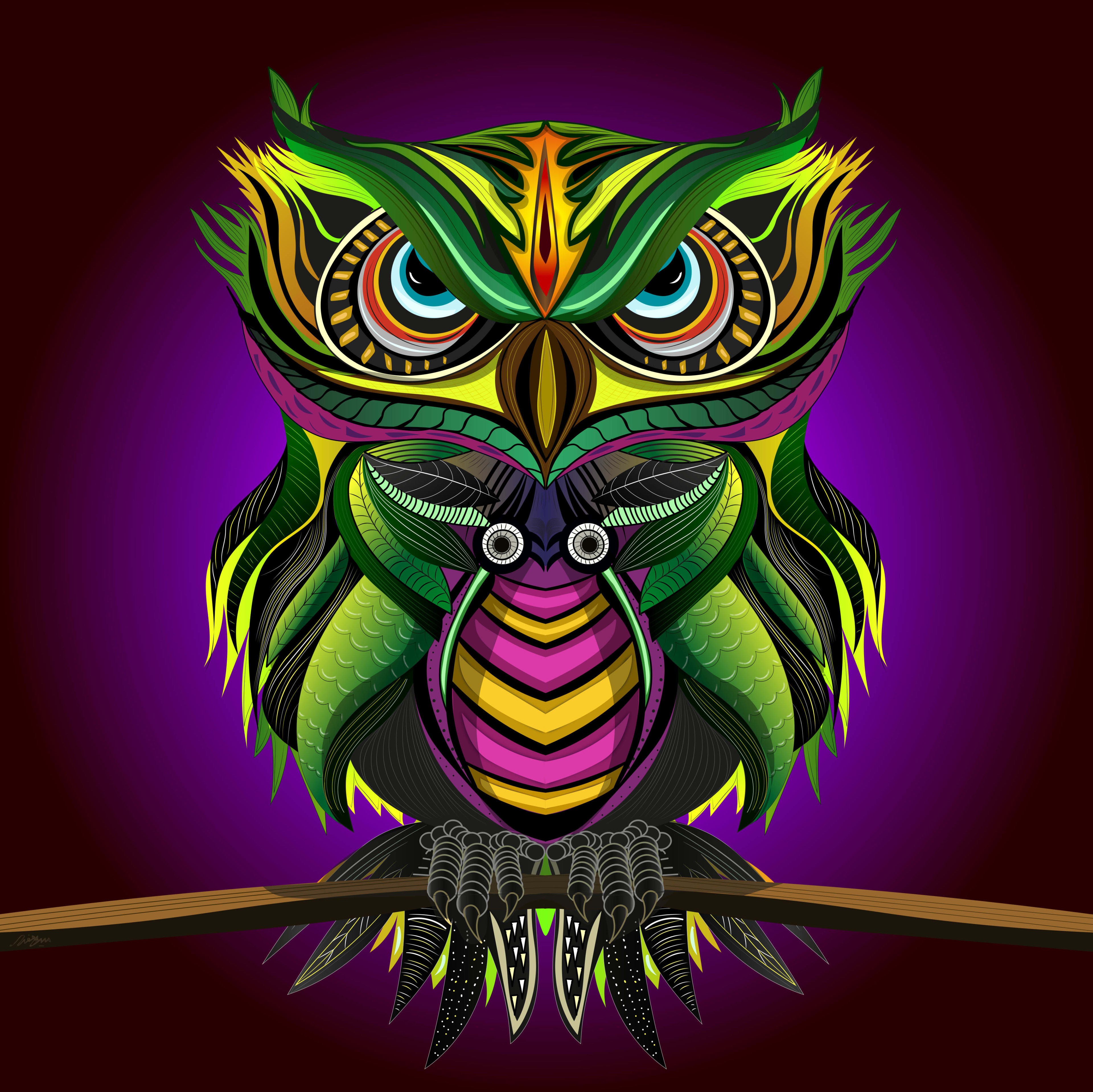 Owl number one