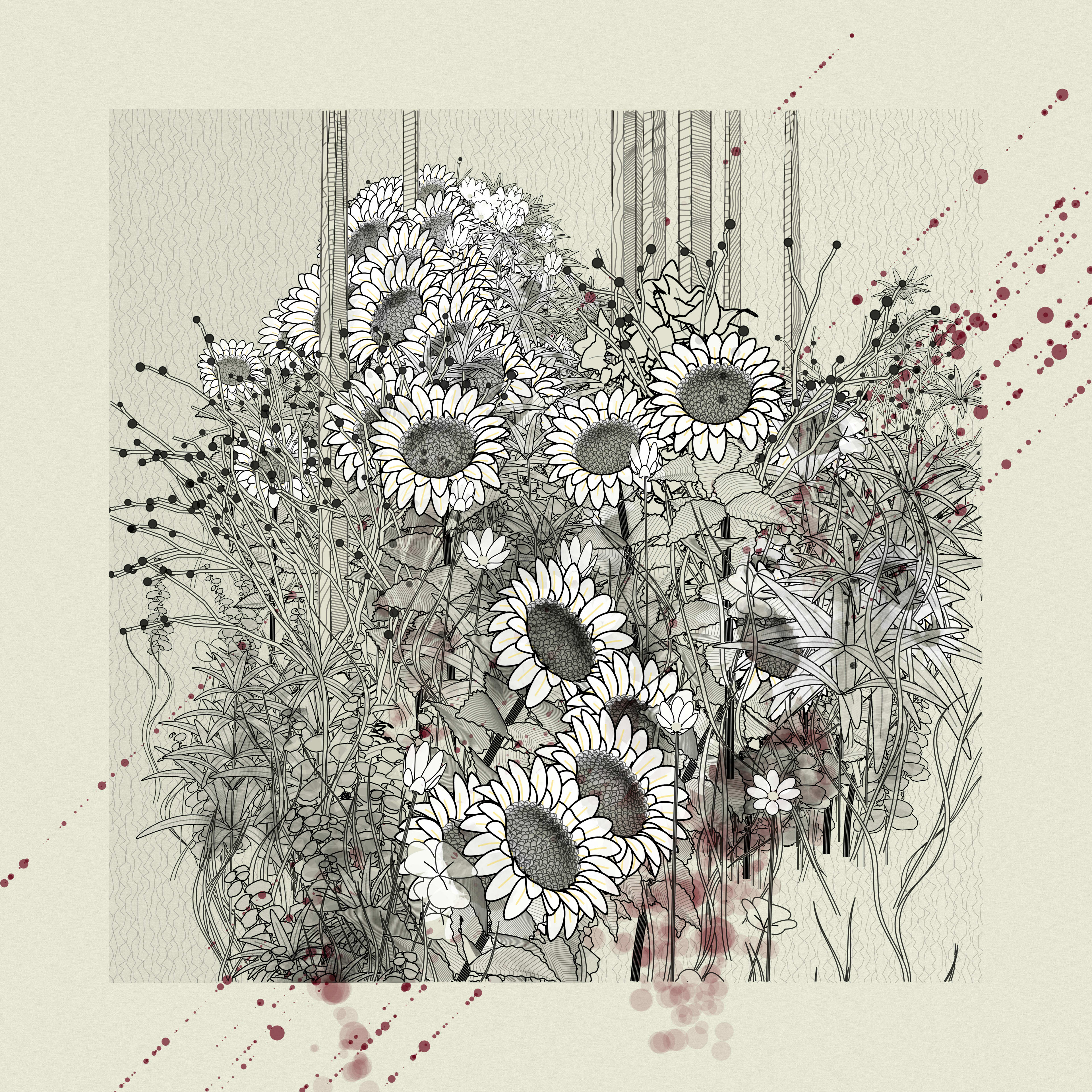 Sunflowers still