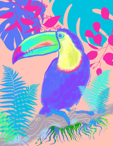 Indifferent Toucan