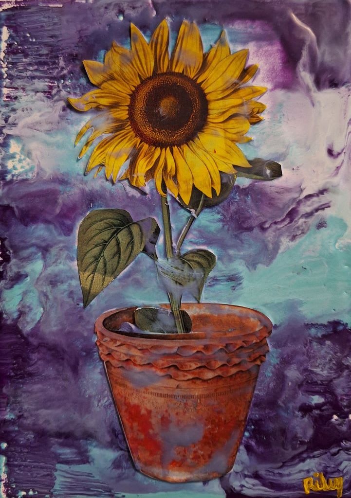 Sunflower Swirl