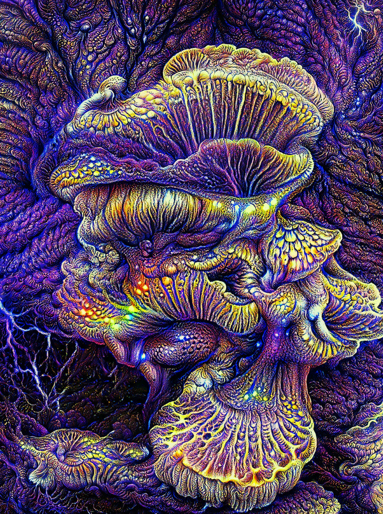 Illuminated Fungi 
