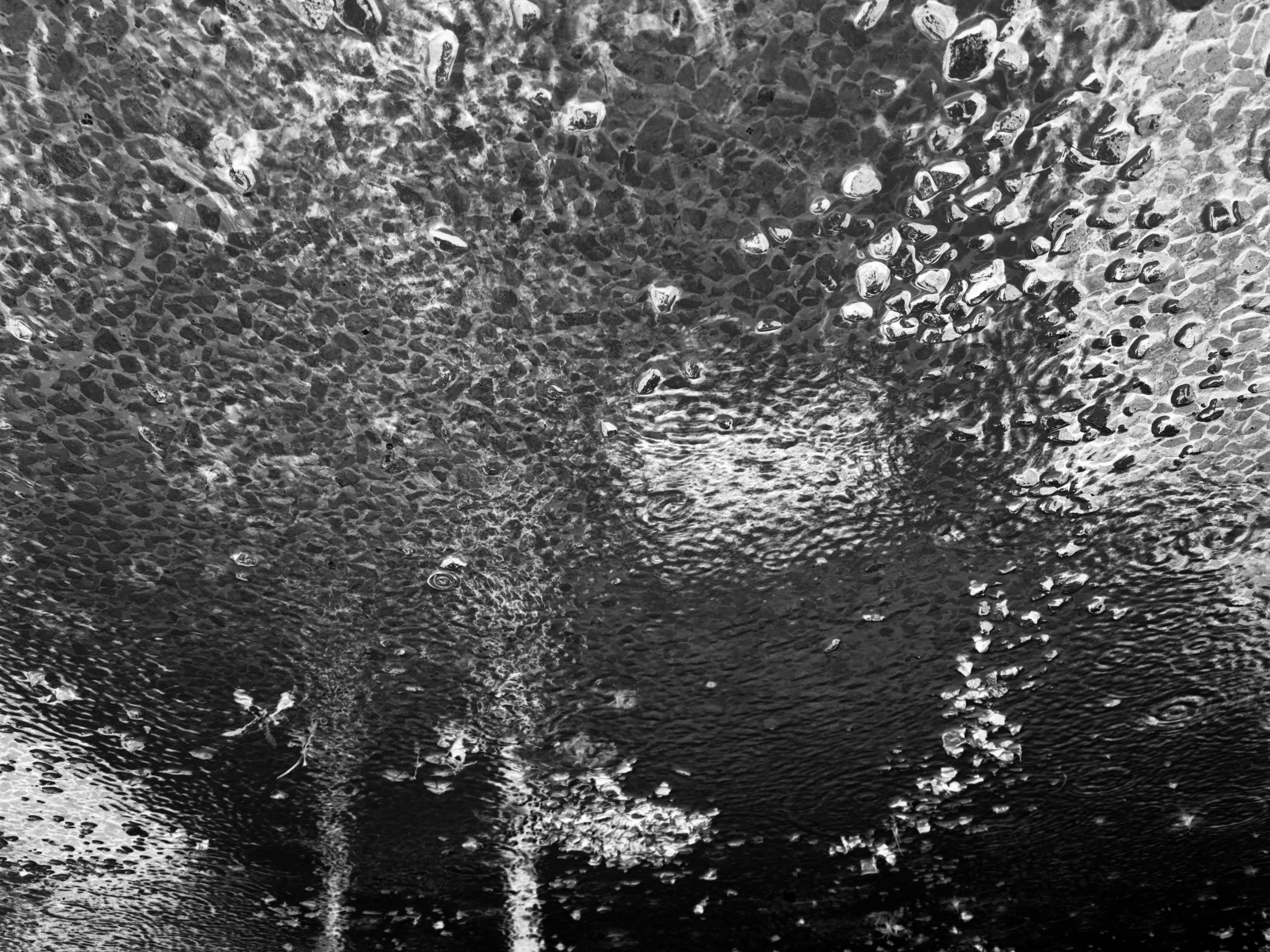 DARK RAIN