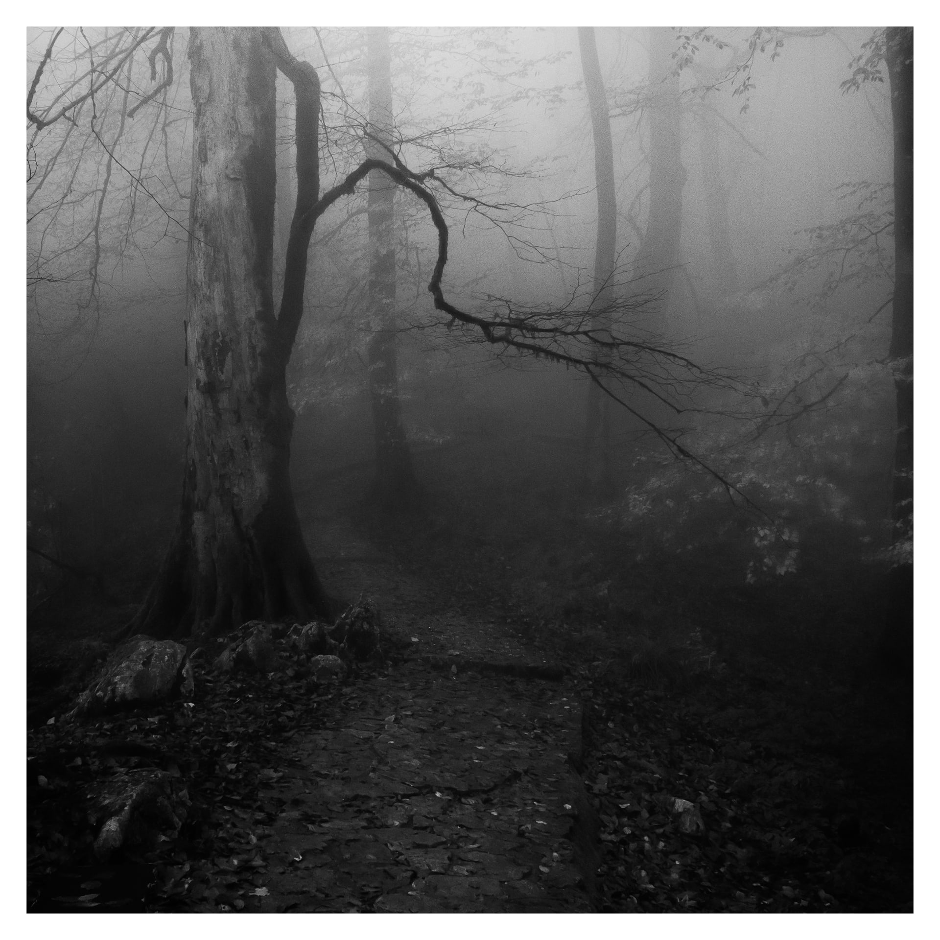 Towards getting lost