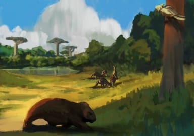 Animals 