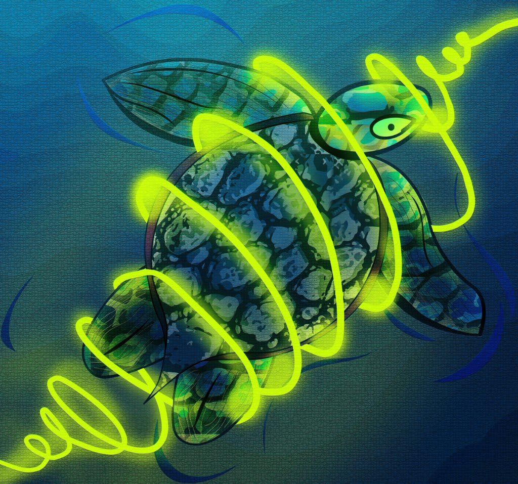 xturtle