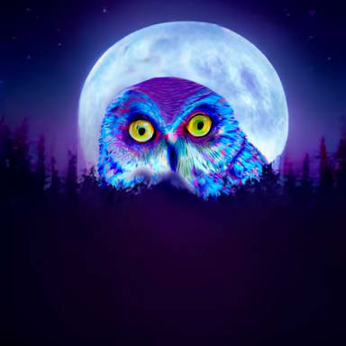 Owl full moon in the forest