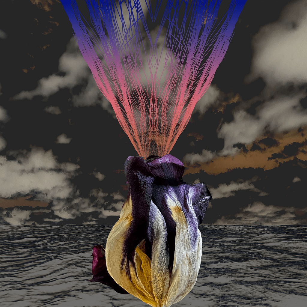 manipulation 2