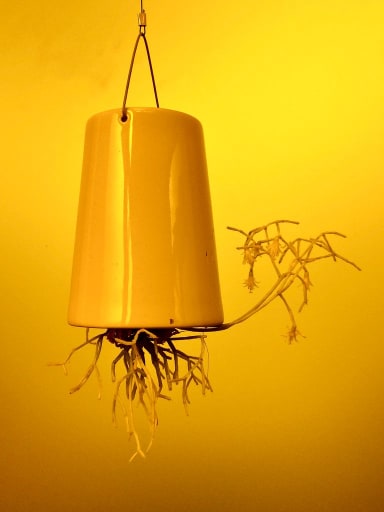 Study in Yellow #2