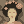 Pixelpoly #0019 - Gueisha