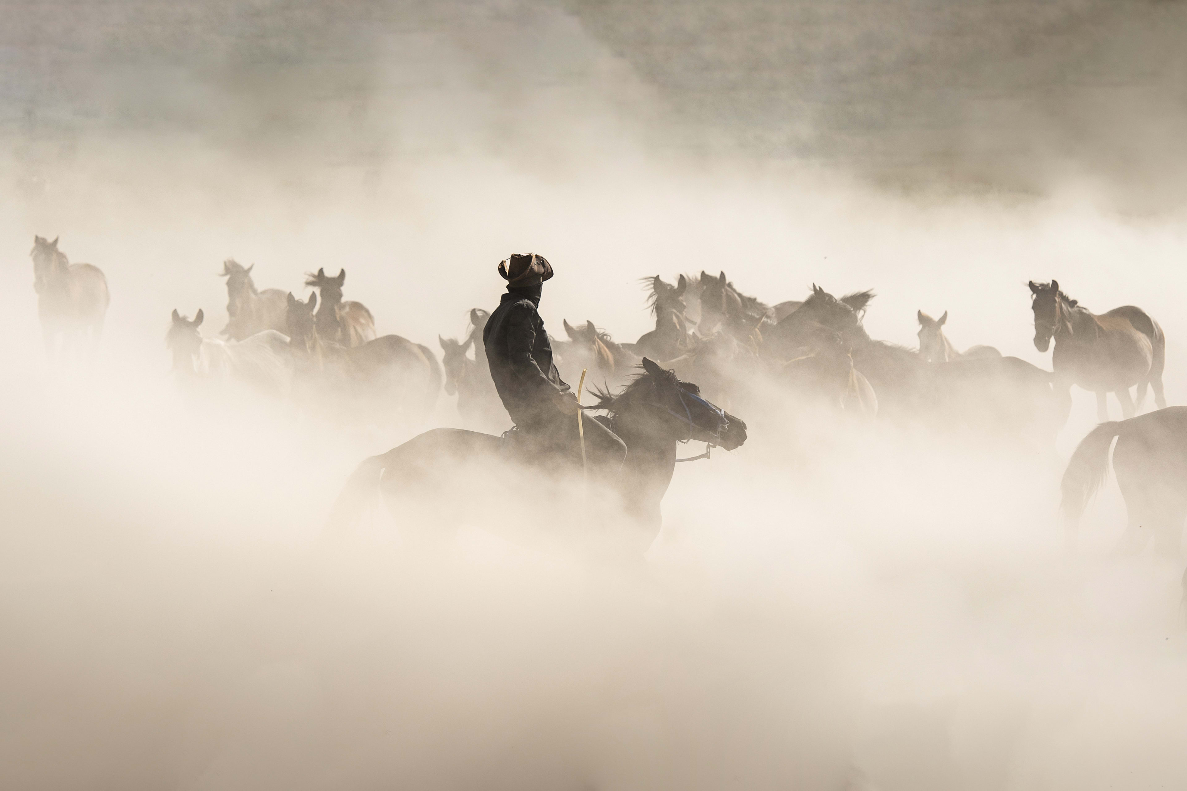 Through the Dust